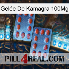 Gelée De Kamagra 100Mg 05